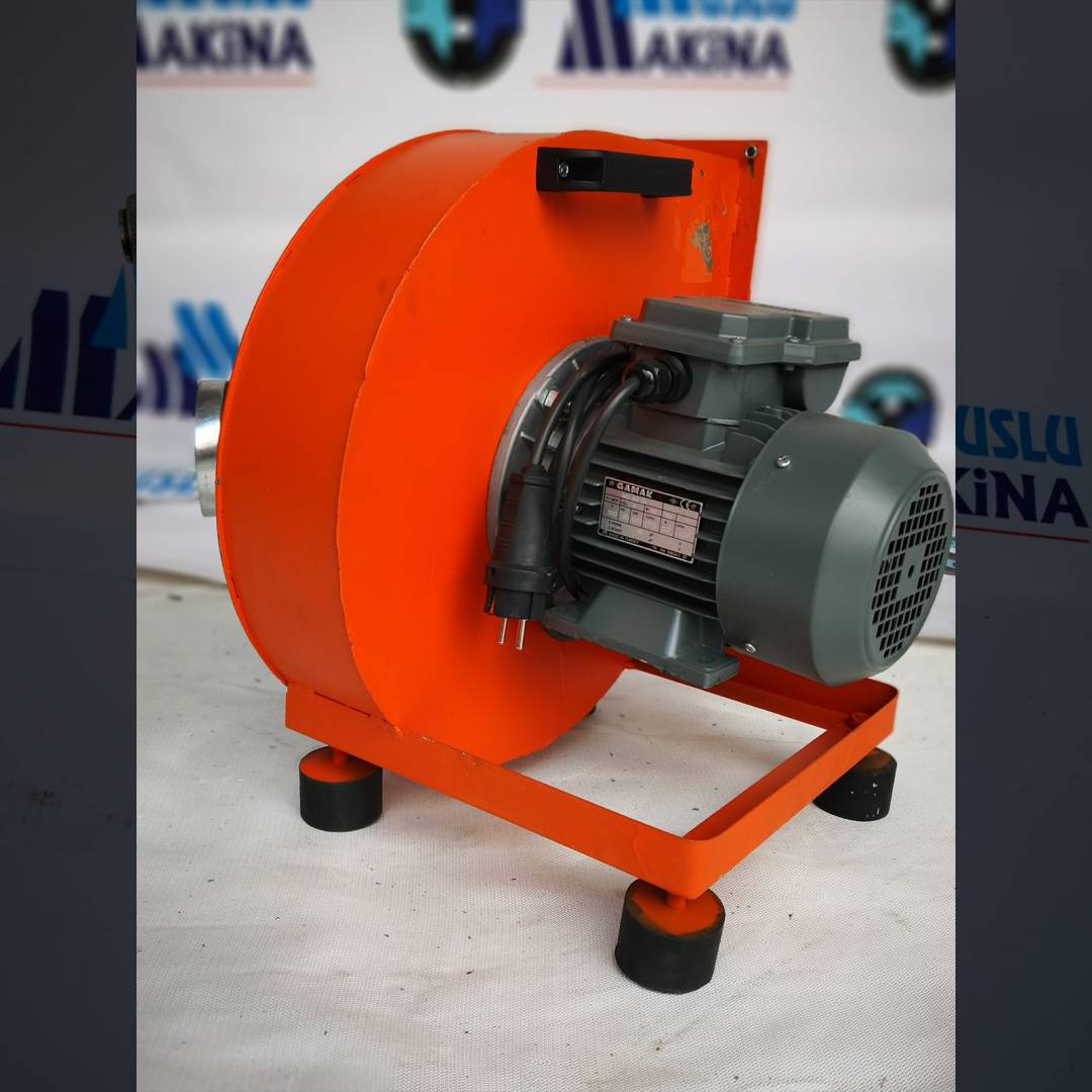 Fanlar